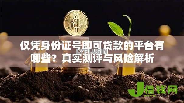 仅凭身份证号即可贷款的平台有哪些?真实测评与风险解析 仅凭身份证号即可贷款的平台有哪些?真实测评与风险解析
