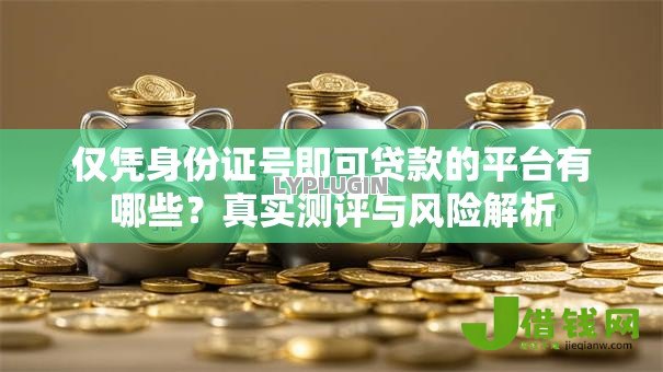 仅凭身份证号即可贷款的平台有哪些?真实测评与风险解析 仅凭身份证号即可贷款的平台有哪些?真实测评与风险解析