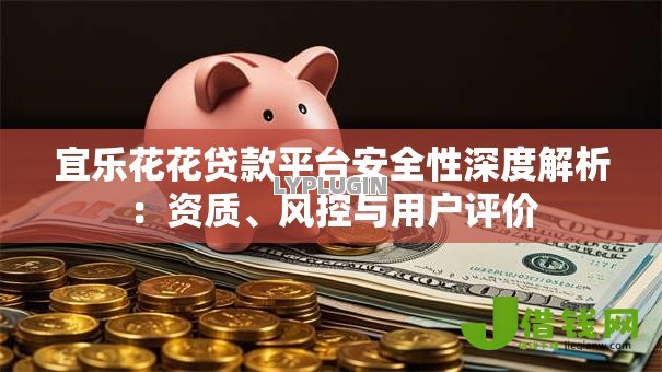 宜乐花花贷款平台安全性深度解析：资质、风控与用户评价