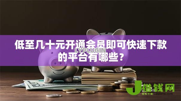 低至几十元开通会员即可快速下款的平台有哪些？