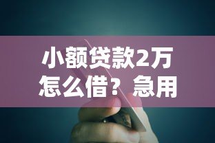 小额贷款2万怎么借?急用钱平台选择指南 小额贷款2万怎么借?急用钱平台选择指南