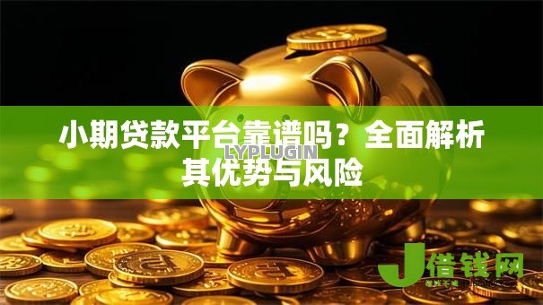 小期贷款平台靠谱吗？全面解析其优势与风险