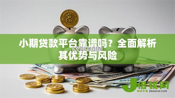 小期贷款平台靠谱吗？全面解析其优势与风险