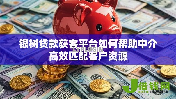 银树贷款获客平台如何帮助中介高效匹配客户资源 银树贷款获客平台如何帮助中介高效匹配客户资源