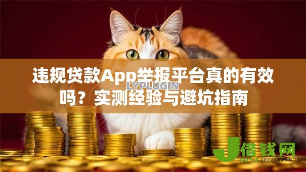 违规贷款App举报平台真的有效吗?实测经验与避坑指南 违规贷款App举报平台真的有效吗?实测经验与避坑指南