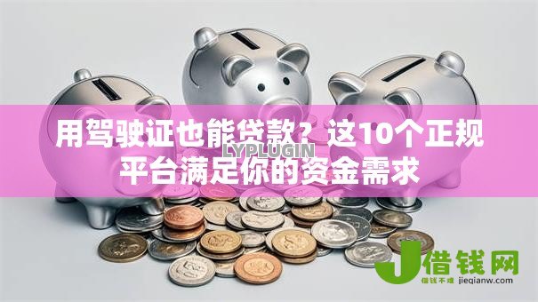 用驾驶证也能贷款?这10个正规平台满足你的资金需求 用驾驶证也能贷款?这10个正规平台满足你的资金需求