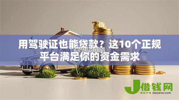 用驾驶证也能贷款?这10个正规平台满足你的资金需求 用驾驶证也能贷款?这10个正规平台满足你的资金需求