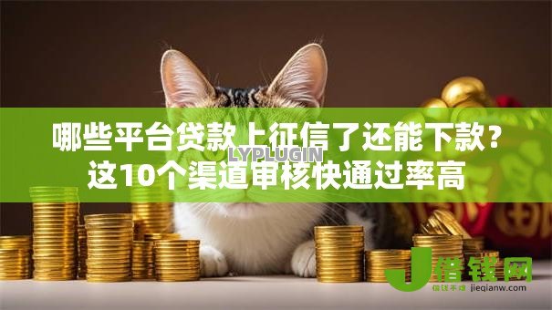 哪些平台贷款上征信了还能下款？这10个渠道审核快通过率高