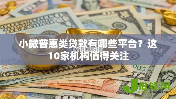 小微普惠类贷款有哪些平台？这10家机构值得关注