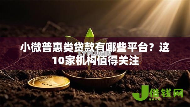 小微普惠类贷款有哪些平台？这10家机构值得关注