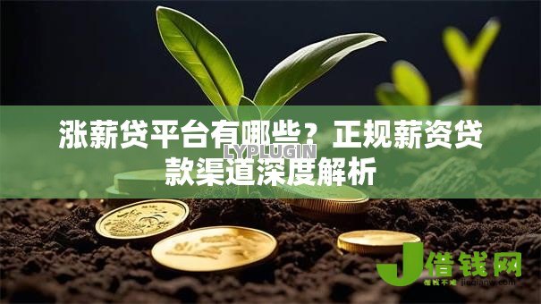 涨薪贷平台有哪些?正规薪资贷款渠道深度解析 涨薪贷平台有哪些?正规薪资贷款渠道深度解析