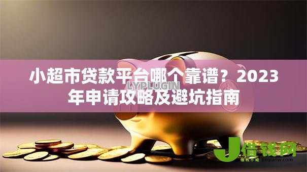 小超市贷款平台哪个靠谱？2023年申请攻略及避坑指南