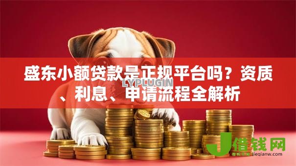 盛东小额贷款是正规平台吗?资质、利息、申请流程全解析 盛东小额贷款是正规平台吗?资质、利息、申请流程全解析