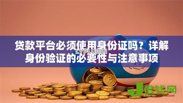 贷款平台必须使用身份证吗？详解身份验证的必要性与注意事项