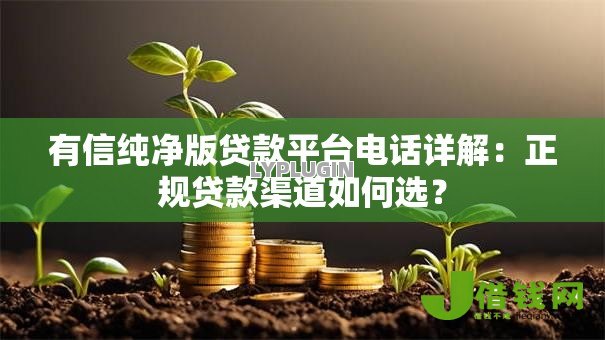 有信纯净版贷款平台电话详解:正规贷款渠道如何选? 有信纯净版贷款平台电话详解:正规贷款渠道如何选?
