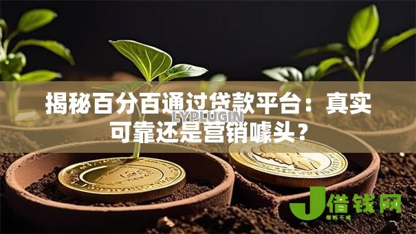 揭秘百分百通过贷款平台:真实可靠还是营销噱头? 揭秘百分百通过贷款平台:真实可靠还是营销噱头?
