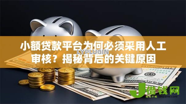 小额贷款平台为何必须采用人工审核?揭秘背后的关键原因 小额贷款平台为何必须采用人工审核?揭秘背后的关键原因