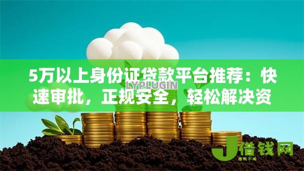 5万以上身份证贷款平台推荐：快速审批，正规安全，轻松解决资金需求