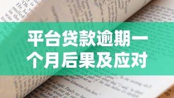 平台贷款逾期一个月后果及应对策略全解析