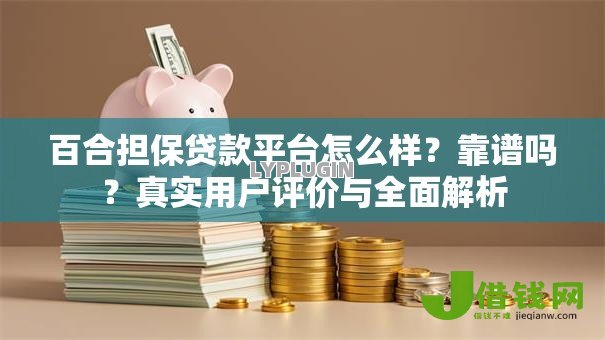 百合担保贷款平台怎么样？靠谱吗？真实用户评价与全面解析