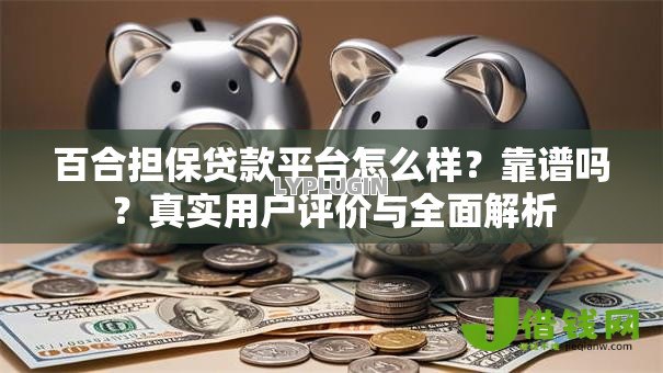 百合担保贷款平台怎么样？靠谱吗？真实用户评价与全面解析