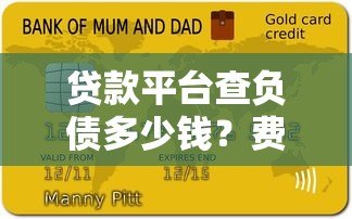 贷款平台查负债多少钱?费用明细与避坑指南 贷款平台查负债多少钱?费用明细与避坑指南