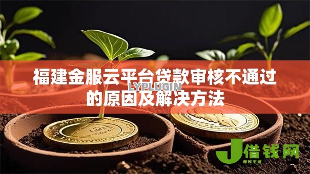 福建金服云平台贷款审核不通过的原因及解决方法 福建金服云平台贷款审核不通过的原因及解决方法