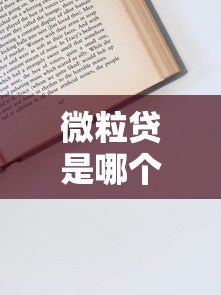微粒贷是哪个平台的贷款?一文详解申请流程、利息及注意事项 微粒贷是哪个平台的贷款?一文详解申请流程、利息及注意事项