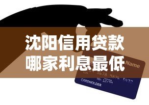 沈阳信用贷款哪家利息最低？2023正规低息平台推荐