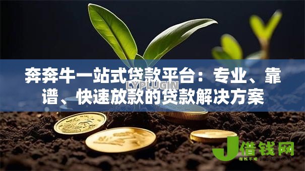 奔奔牛一站式贷款平台:专业、靠谱、快速放款的贷款解决方案 奔奔牛一站式贷款平台:专业、靠谱、快速放款的贷款解决方案
