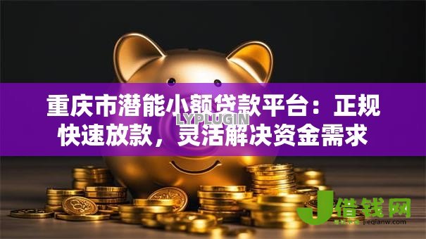 重庆市潜能小额贷款平台:正规快速放款,灵活解决资金需求 重庆市潜能小额贷款平台:正规快速放款,灵活解决资金需求