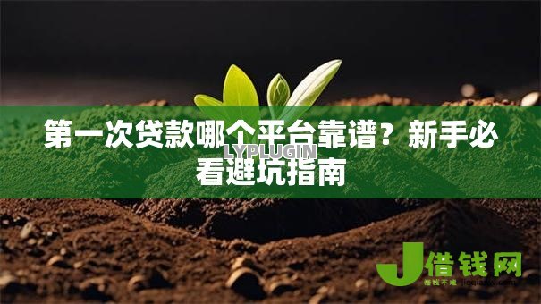 第一次贷款哪个平台靠谱?新手必看避坑指南 第一次贷款哪个平台靠谱?新手必看避坑指南