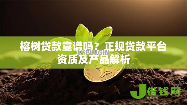 榕树贷款靠谱吗？正规贷款平台资质及产品解析
