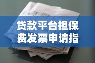 贷款平台担保费发票申请指南与注意事项
