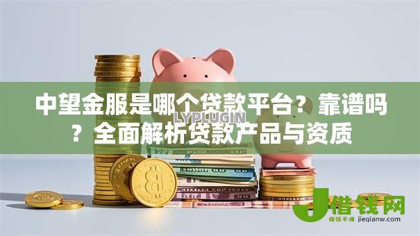 中望金服是哪个贷款平台？靠谱吗？全面解析贷款产品与资质