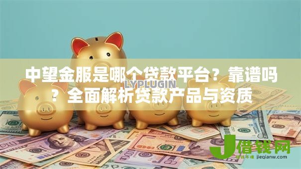 中望金服是哪个贷款平台？靠谱吗？全面解析贷款产品与资质