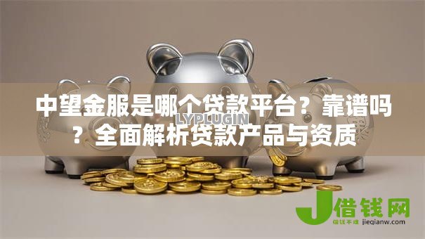 中望金服是哪个贷款平台？靠谱吗？全面解析贷款产品与资质