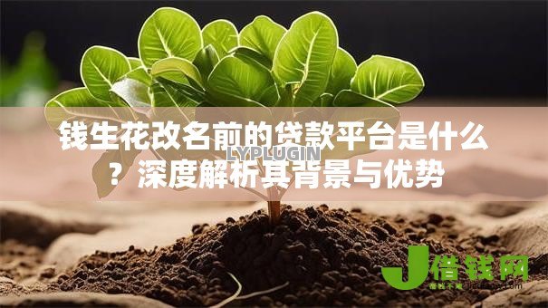 钱生花改名前的贷款平台是什么？深度解析其背景与优势