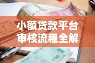 小额贷款平台审核流程全解析：从申请到放款关键步骤