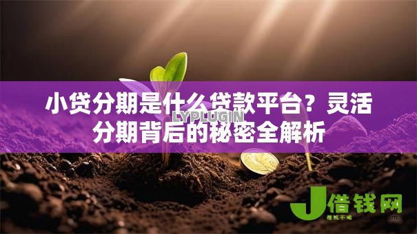 小贷分期是什么贷款平台?灵活分期背后的秘密全解析 小贷分期是什么贷款平台?灵活分期背后的秘密全解析