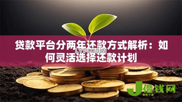 贷款平台分两年还款方式解析:如何灵活选择还款计划 贷款平台分两年还款方式解析:如何灵活选择还款计划