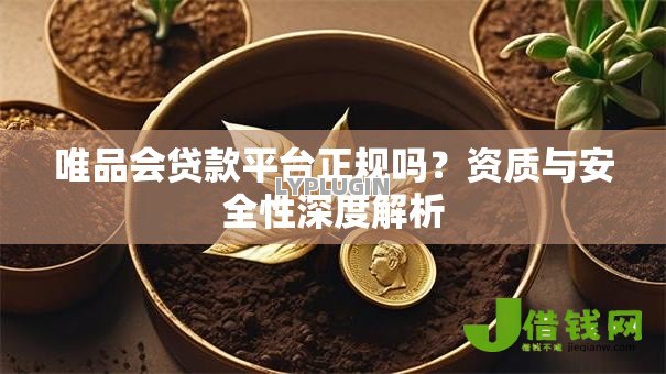 唯品会贷款平台正规吗?资质与安全性深度解析 唯品会贷款平台正规吗?资质与安全性深度解析