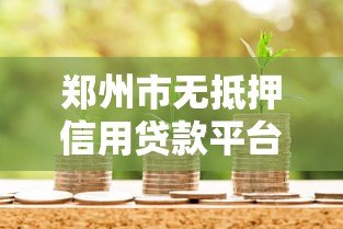 郑州市无抵押信用贷款平台全攻略:正规渠道与申请指南 郑州市无抵押信用贷款平台全攻略:正规渠道与申请指南
