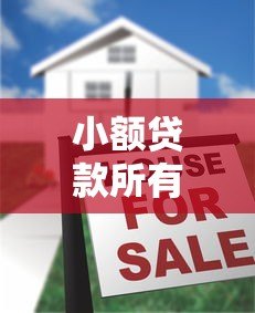 小额贷款所有平台不通过?揭秘被拒原因与破解方法 小额贷款所有平台不通过?揭秘被拒原因与破解方法