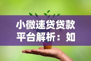 小微速贷贷款平台解析：如何为小微企业解决融资难题