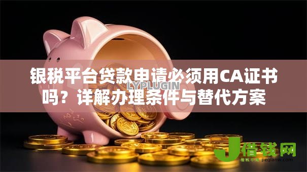 银税平台贷款申请必须用CA证书吗？详解办理条件与替代方案