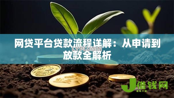网贷平台贷款流程详解：从申请到放款全解析