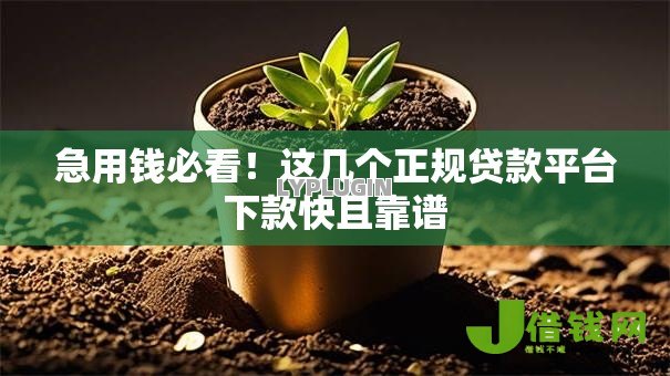 急用钱必看!这几个正规贷款平台下款快且靠谱 急用钱必看!这几个正规贷款平台下款快且靠谱