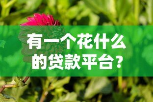 有一个花什么的贷款平台？热门花系贷款产品解析