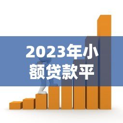 2023年小额贷款平台现状解析:机遇与挑战并存 2023年小额贷款平台现状解析:机遇与挑战并存